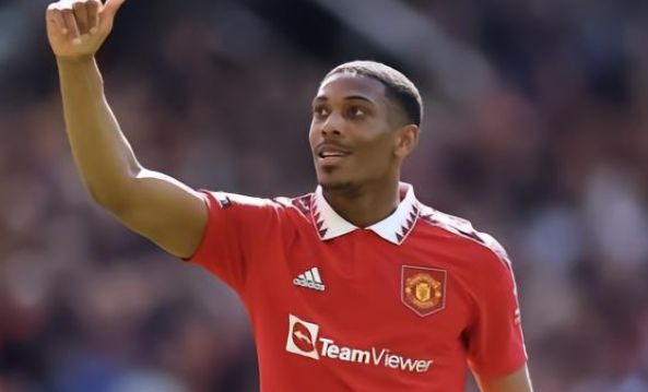 仅是双方的 仅是双方的