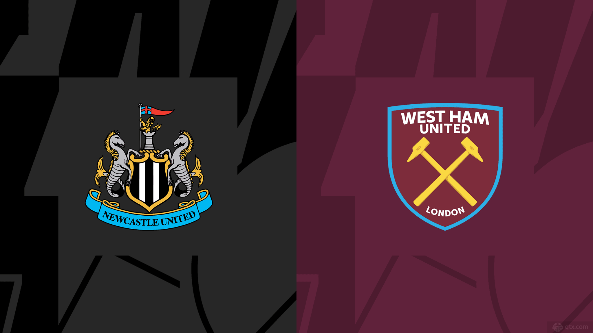 纷纷指出 纷纷指出